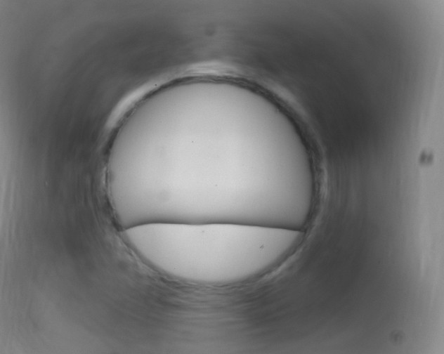 X0000114671358200910210959