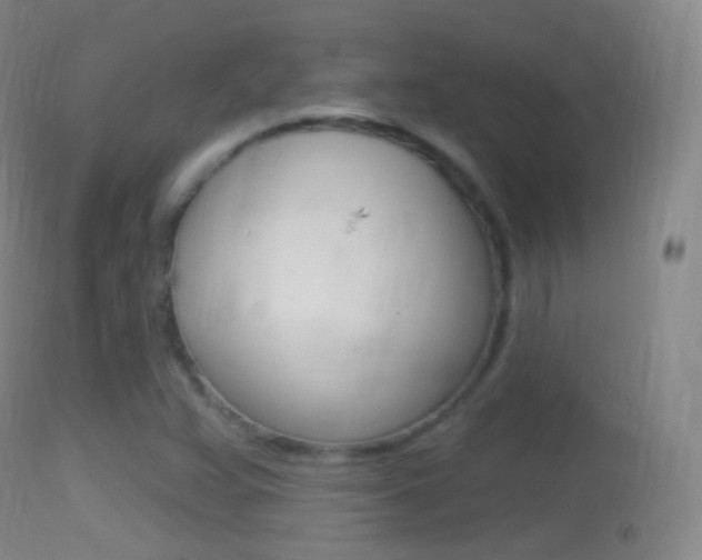 X0000114671359200910210959