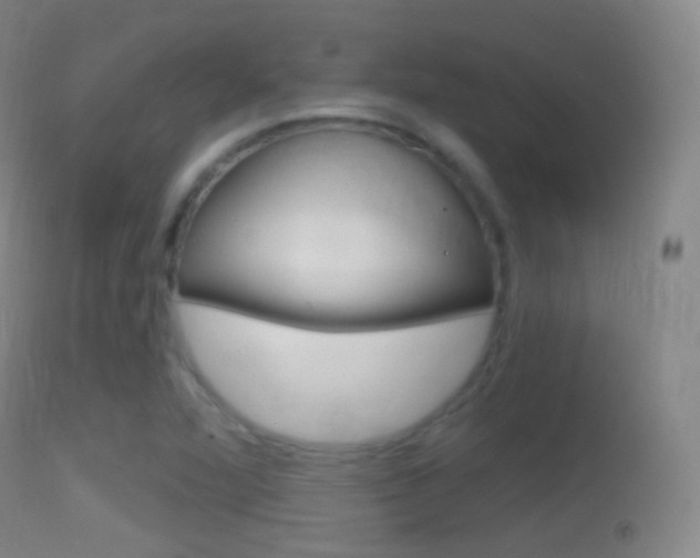 X0000114671360200910210959