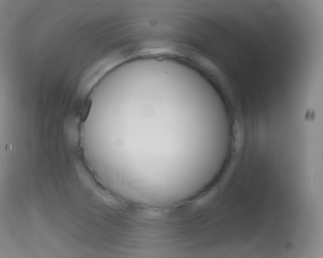X0000114671361200910210959
