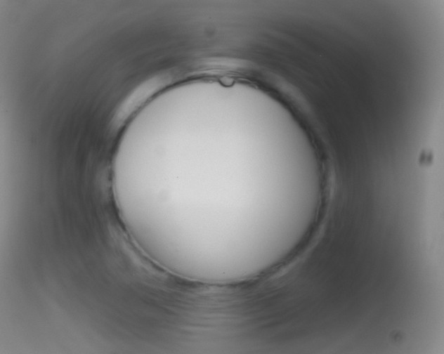 X0000114671362200910210959