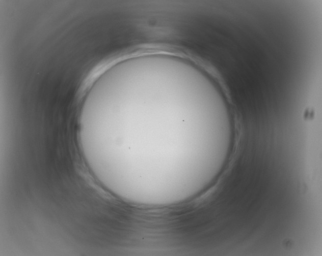 X0000114671365200910210959