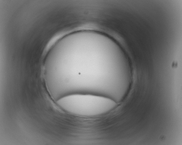 X0000114671366200910210959