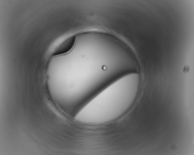 X0000114671367200910210959