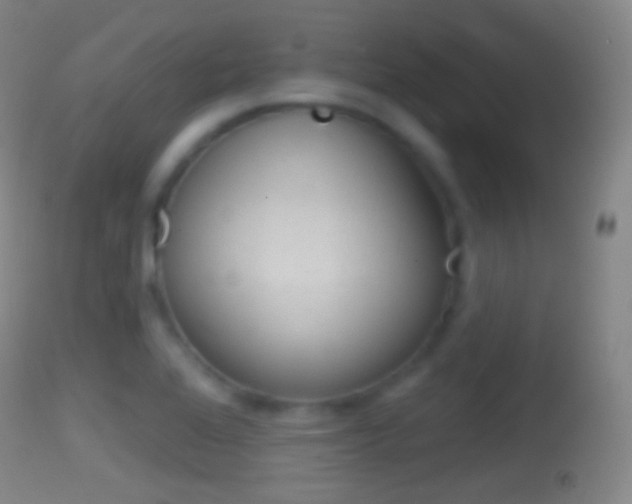 X0000114671368200910210959