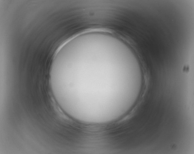X0000114671369200910210959