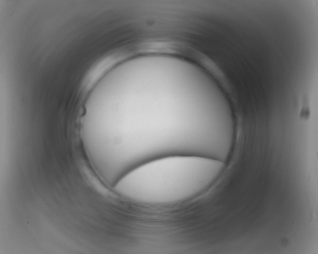 X0000114671370200910210959