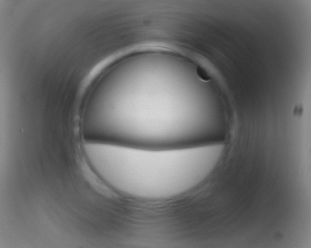 X0000114671372200910210959