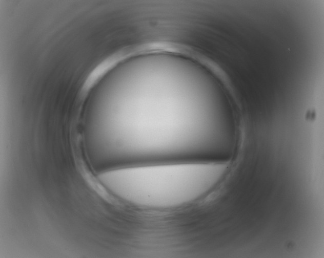 X0000114671373200910210959