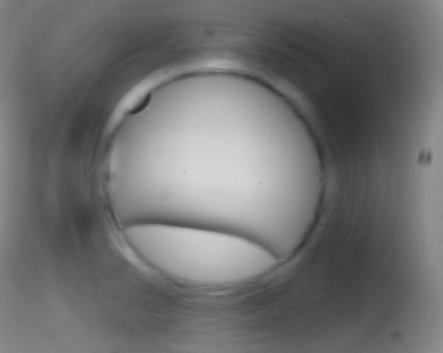 X0000114671374200910210959