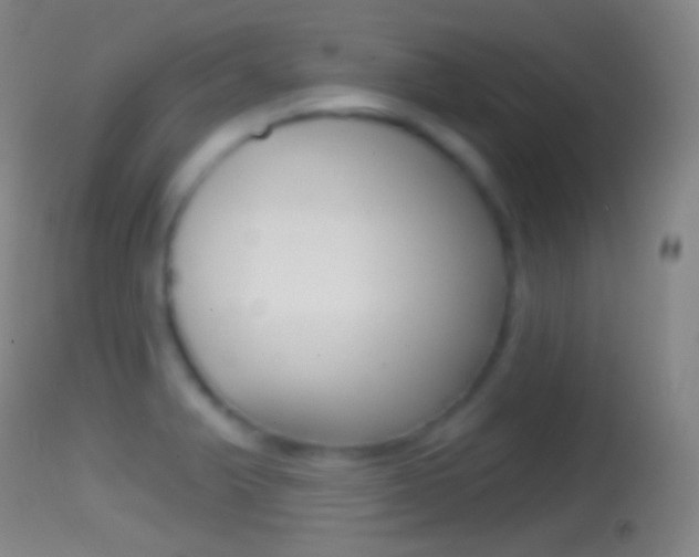 X0000114671375200910210959