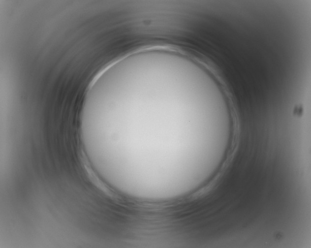 X0000114671377200910210959