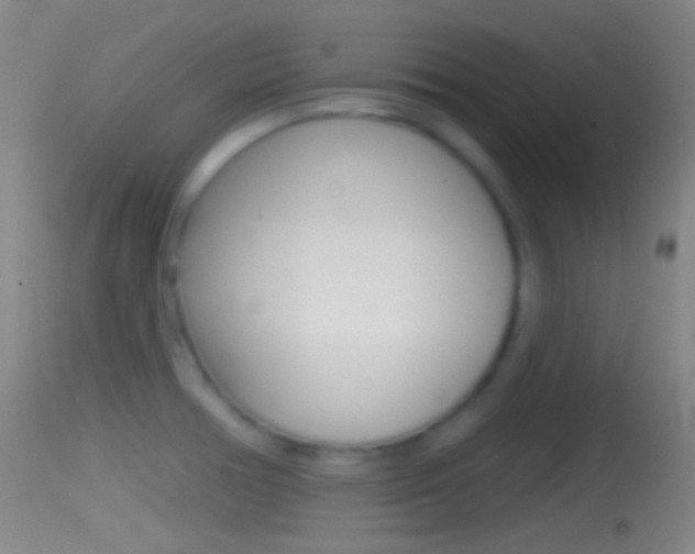 X0000114671378200910210959