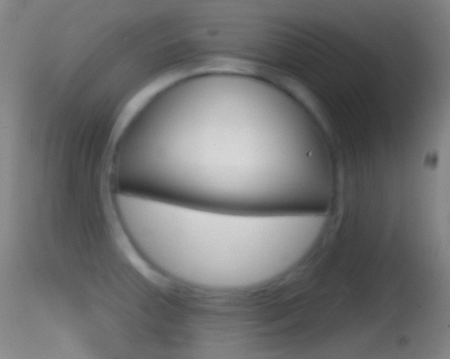 X0000114671379200910210959
