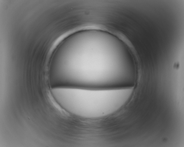 X0000114671380200910210959