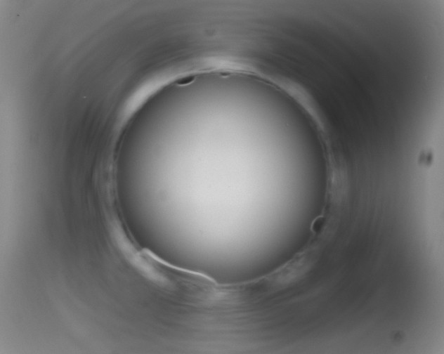 X0000114671381200910210959