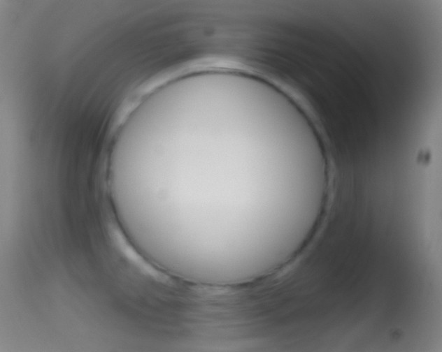 X0000114671382200910210959