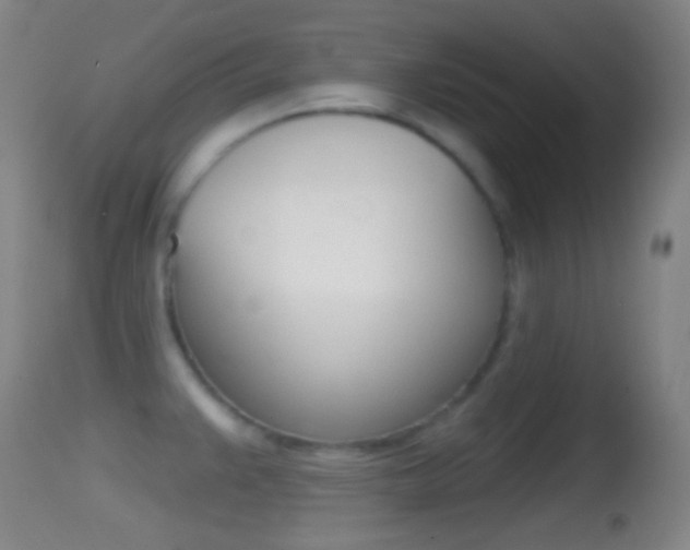 X0000114671383200910210959