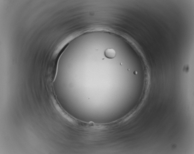 X0000114671385200910210959