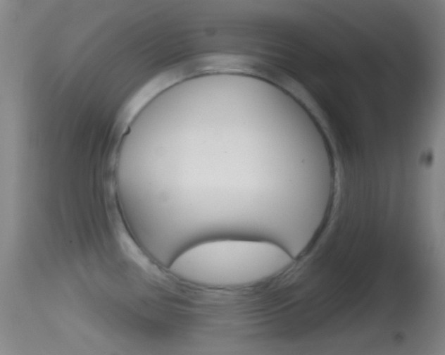 X0000114671386200910210959