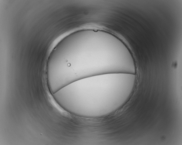 X0000114671387200910210959