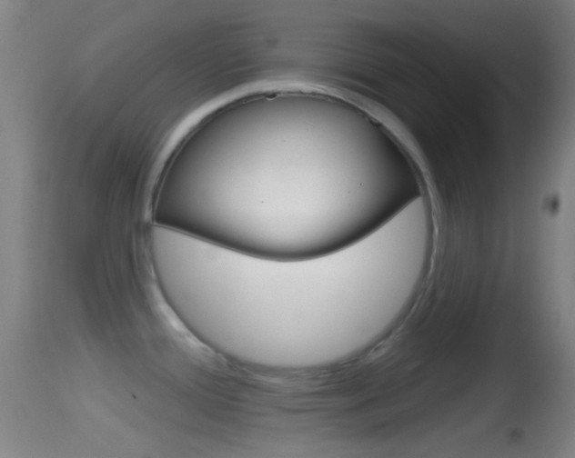X0000114671388200910210959