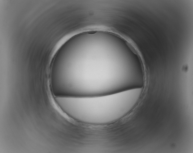 X0000114671389200910210959