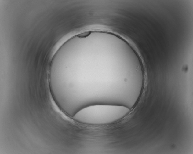 X0000114671390200910210959