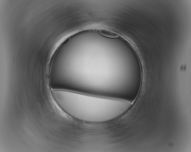 X0000114671392200910210959
