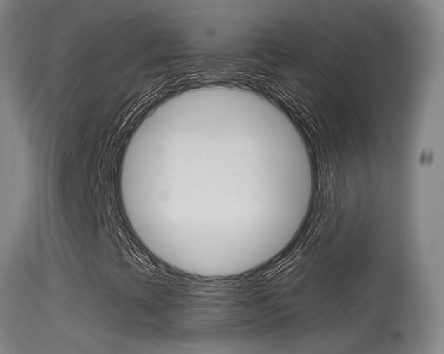 X0000114671393200910210958