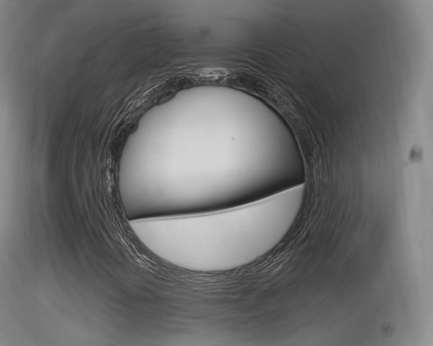X0000114671394200910210958