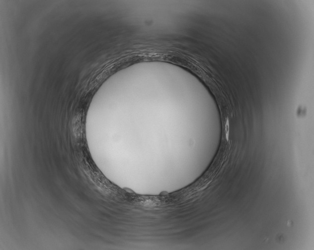 X0000114671395200910210958