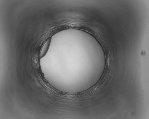 X0000114671396200910210958