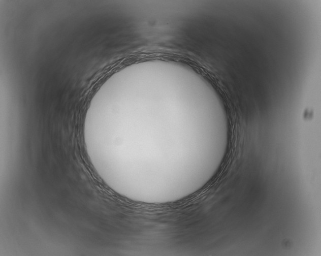 X0000114671397200910210958