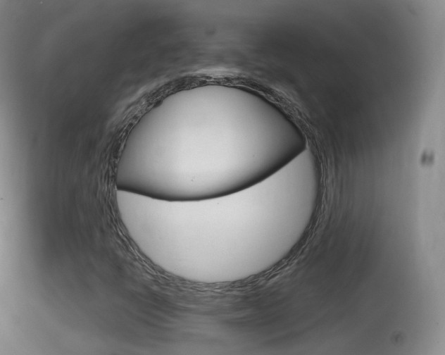 X0000114671398200910210958