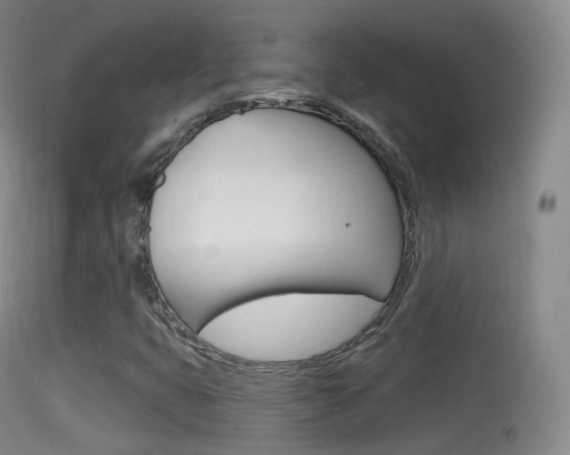 X0000114671399200910210958