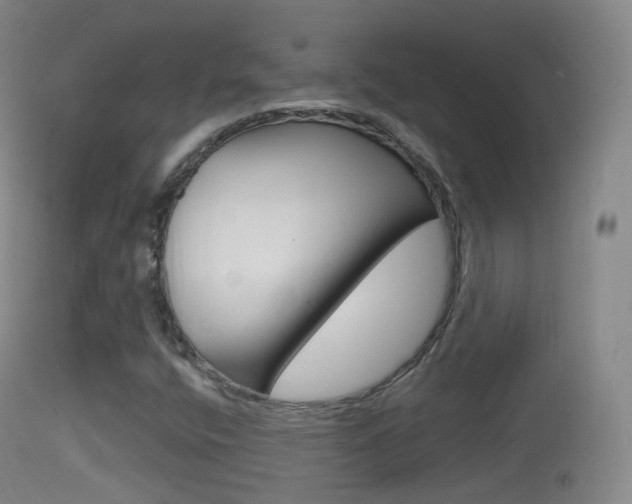 X0000114671400200910210958
