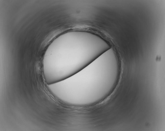 X0000114671401200910210958
