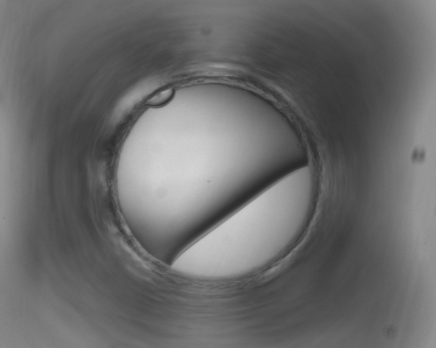 X0000114671402200910210958