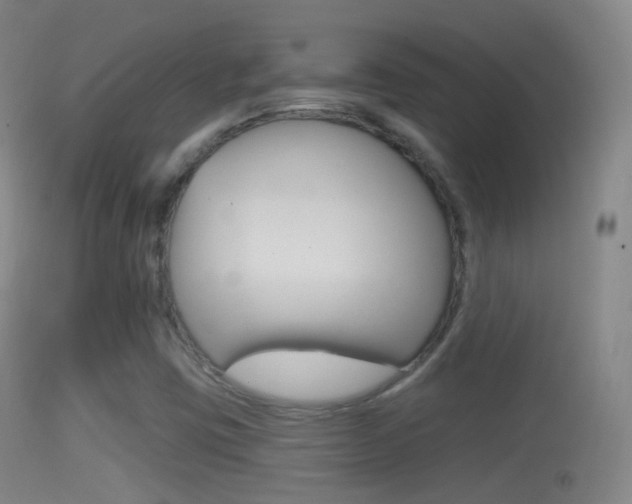 X0000114671403200910210958