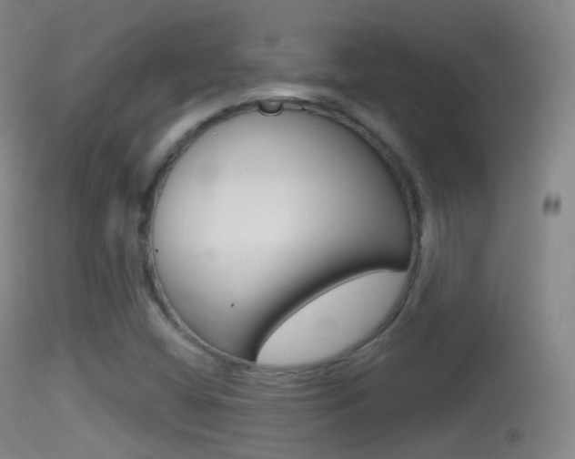 X0000114671404200910210958