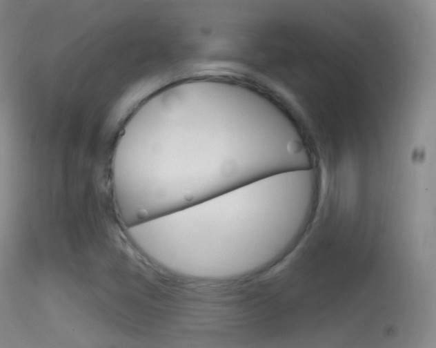 X0000114671405200910210958