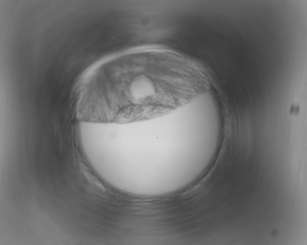 X0000114671406200910210958