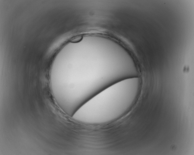X0000114671407200910210958