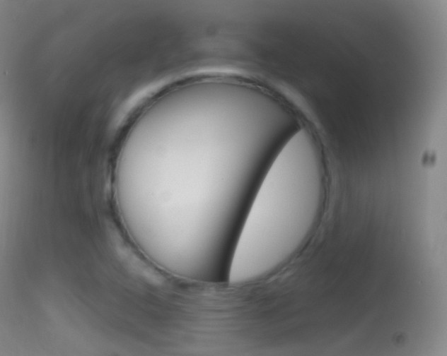 X0000114671408200910210958