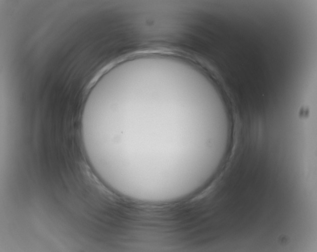 X0000114671409200910210958