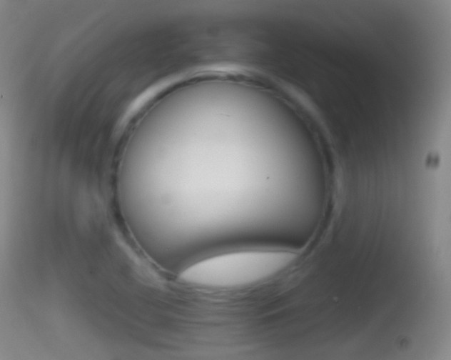 X0000114671412200910210958