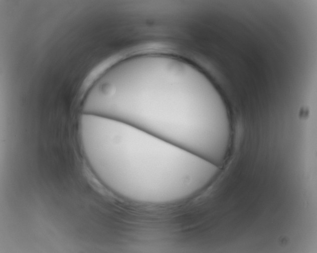 X0000114671413200910210958