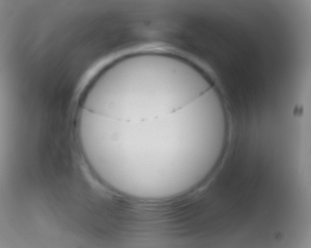 X0000114671414200910210958