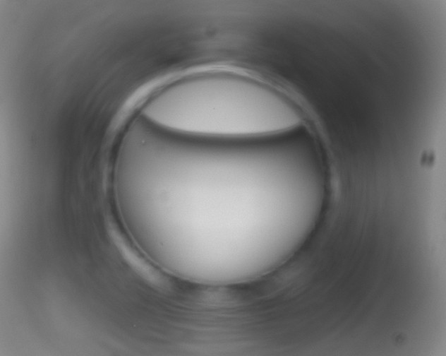 X0000114671416200910210958